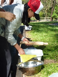 International student tours