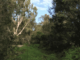 Creek at Bunyaville Environmental Education Centre