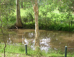 Pond at Bunyaville Environmental Education Centre