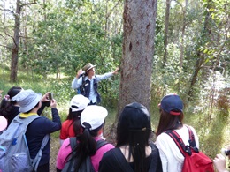 international student tours